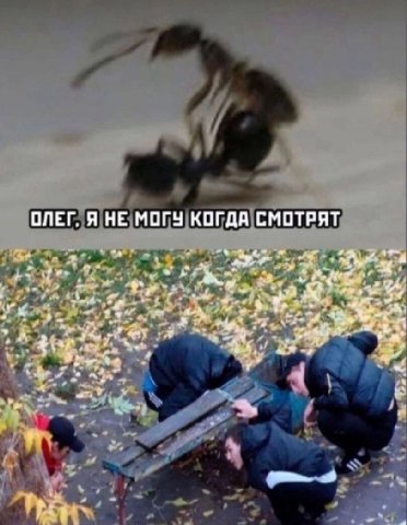 ОЛЕГ, Я НЕ МОГУ КОГДА СМОТРЯТ A 2 9 к a a
