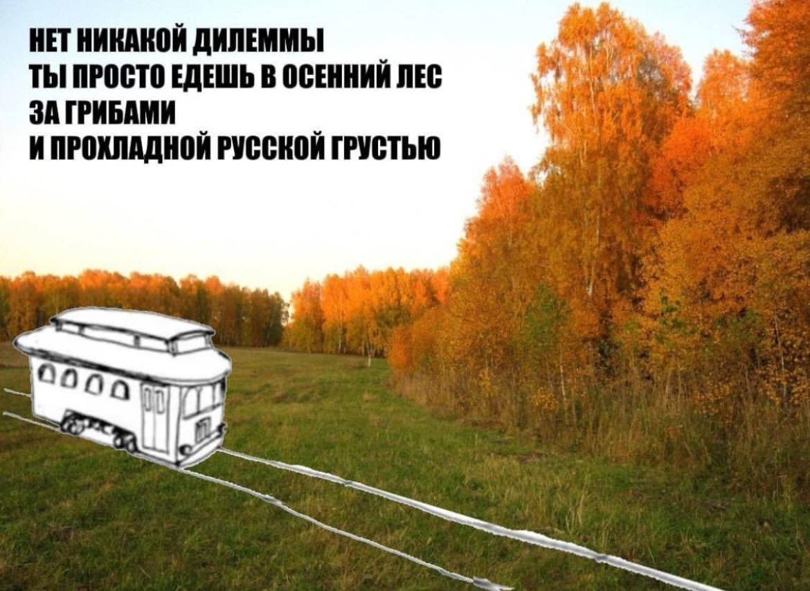 НЕТ НИКАКОЙ ДИЛЕММЫ ТЫ ПРОСТО ЕДЕШЬ В ОСЕННИЙ ЛЕС ЗА ГРИБАМИ И ПРОХЛАДНОЙ РУССКОЙ ГРУСТЬЮ on
