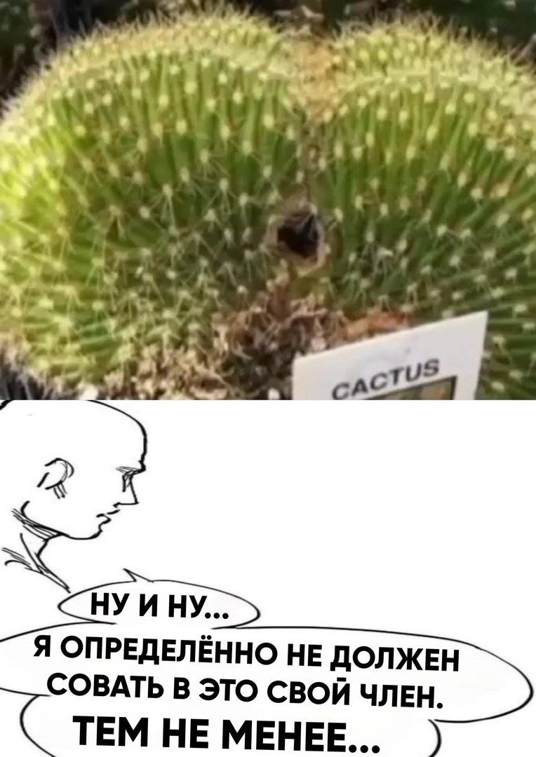 Tou И НУ... Я ОПРЕДЕЛЁННО НЕ ДОЛЖЕН СОВАТЬ В ЭТО СВОЙ ЧЛЕН ТЕМ НЕ МЕНЕЕ...