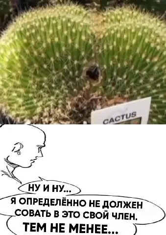 Tou И НУ... Я ОПРЕДЕЛЁННО НЕ ДОЛЖЕН СОВАТЬ В ЭТО СВОЙ ЧЛЕН ТЕМ НЕ МЕНЕЕ...