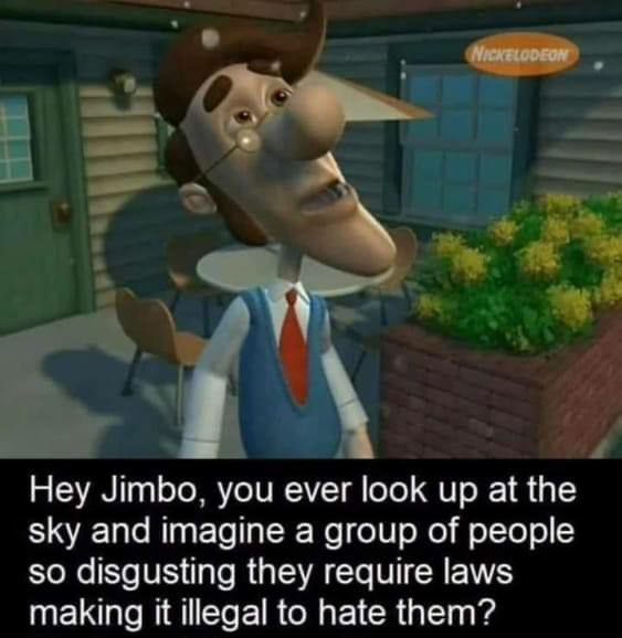 Hey Jimbo. you ever look up at the sky and imagine a group of people so disgusting they require laws making it Шеда! to hate them’?