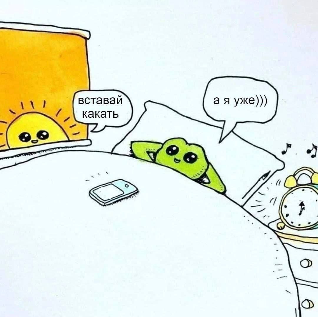 вставай какать (26) AN oN