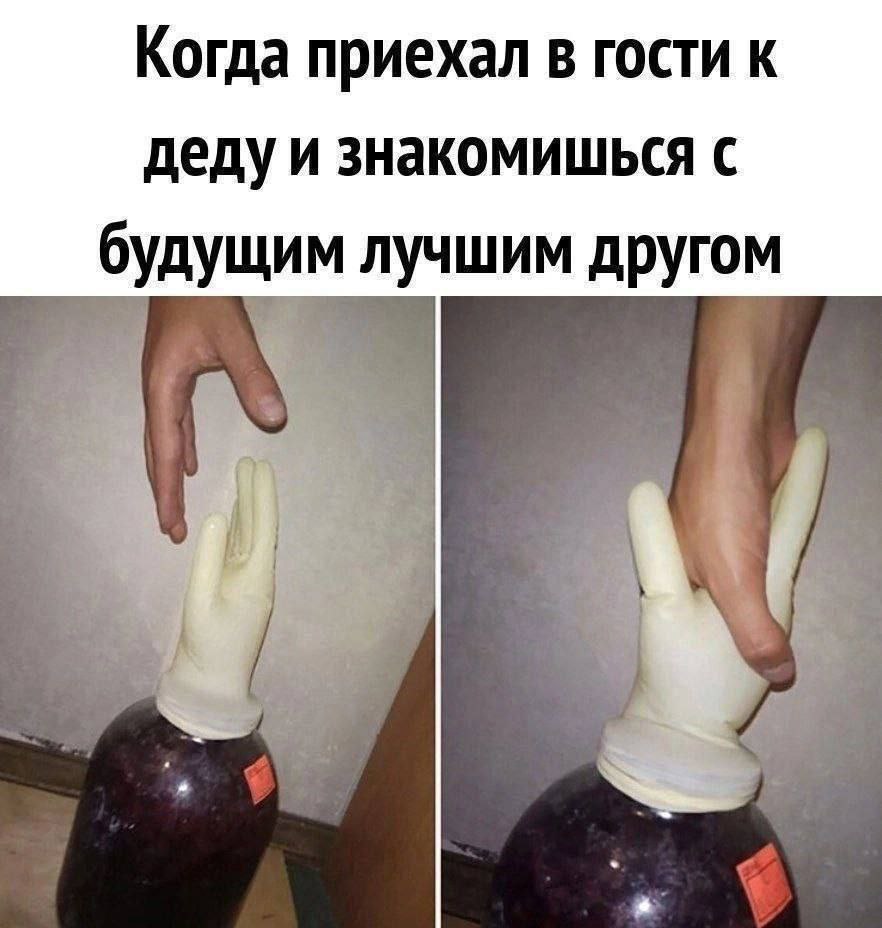 Когда приехал в гости к деду и знакомишься с будущим лучшим другом