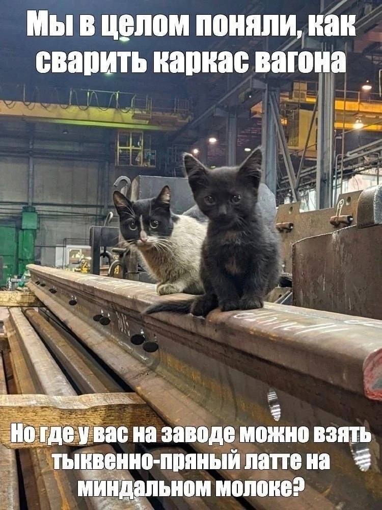 Мы в целом поняли, как сварить каркас вагона а tren! В на заводе можно взять тыввенно-пряный миндальном молоке?