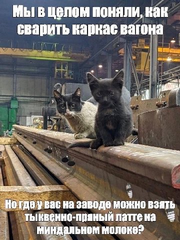 Мы в целом поняли, как сварить каркас вагона а tren! В на заводе можно взять тыввенно-пряный миндальном молоке?