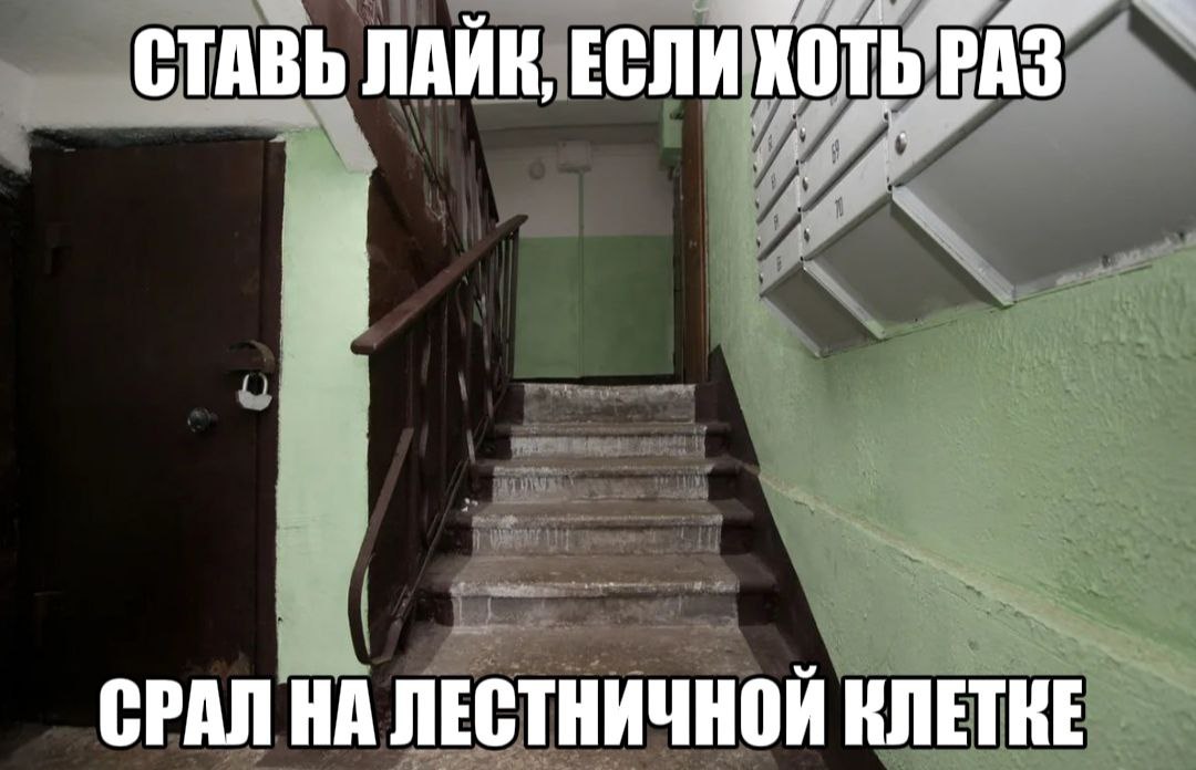 СТАВЬ ЛАЙК, ЕСЛИ КОТЬ РАЗ СРАЛ НА ЛЕСТНИЧНОЙ КЛЕТКЕ