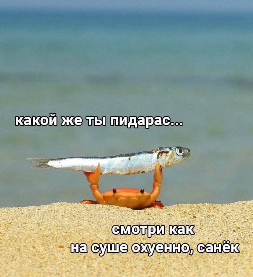 какой же ты пидарас... 1, 24 С мот rey енн at У aT