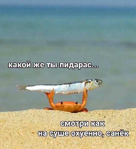 какой же ты пидарас... 1, 24 С мот rey енн at У aT