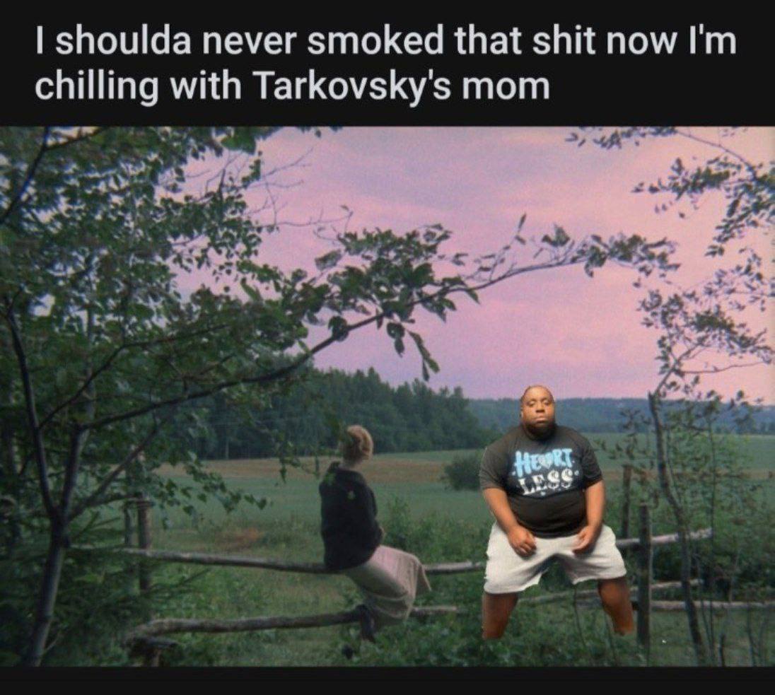 shoulda never smoked that shit now chilling with Tarkovsky's mom