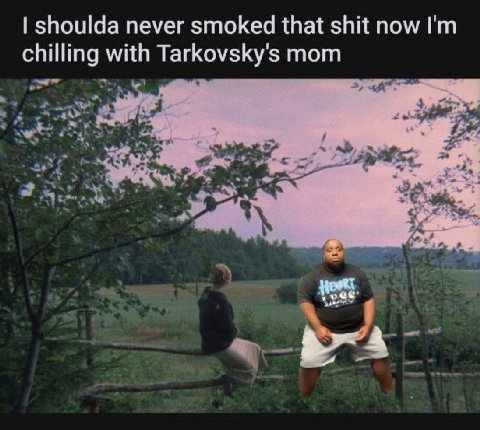 shoulda never smoked that shit now chilling with Tarkovsky's mom