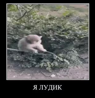 Я