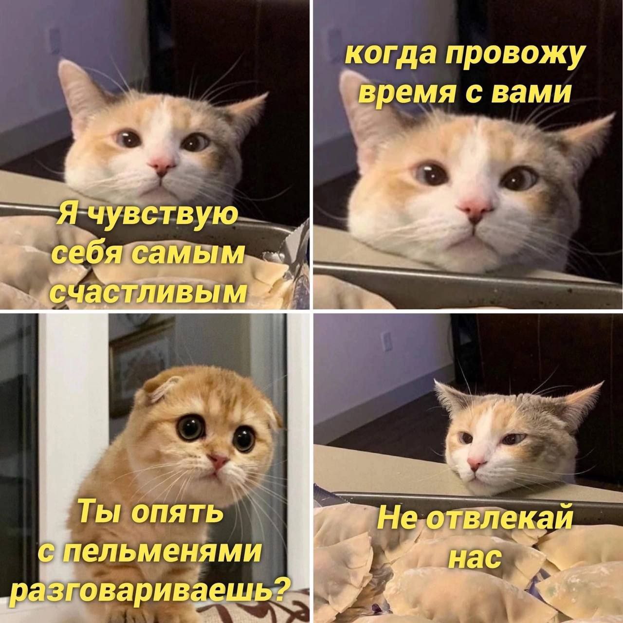 когда провожу время с вами —_Ячувствую себя самым счастливым Ты опять отвлекай разговариваешь?