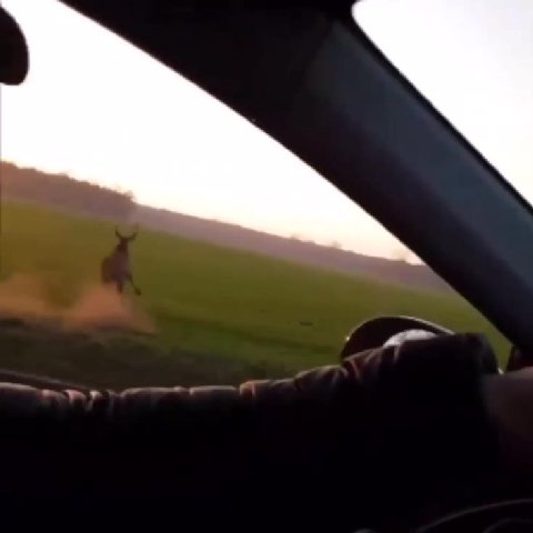 мем