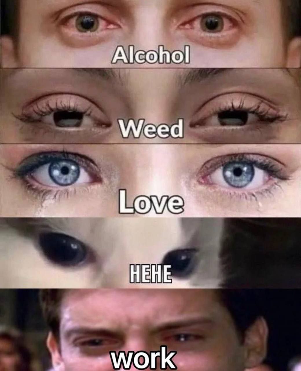 Alcohol Weed work