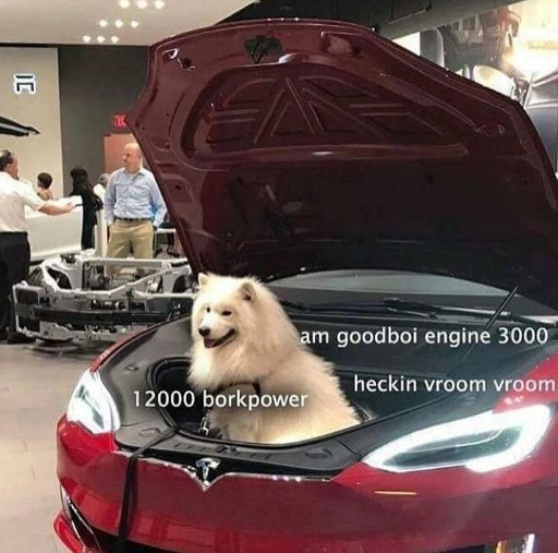 <i 3000 12000 bork роме heckin