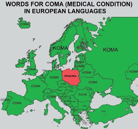 WORDS FOR СОМА (MEDICAL CONDITION) IN EUROPEAN LANGUAGES у 6 2 5