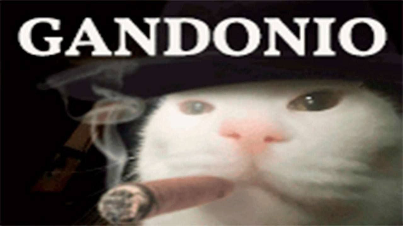 GANDONTO