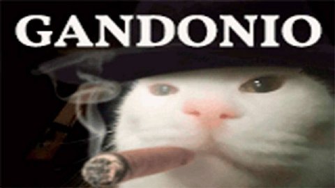 GANDONTO