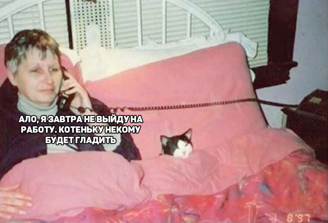 won АЛО, ЯЗАВТРА НЕ НА РАБОТУ. НЕКОМУ БУДЕТ ГЛАДИТЬ: