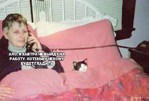 won АЛО, ЯЗАВТРА НЕ НА РАБОТУ. НЕКОМУ БУДЕТ ГЛАДИТЬ: