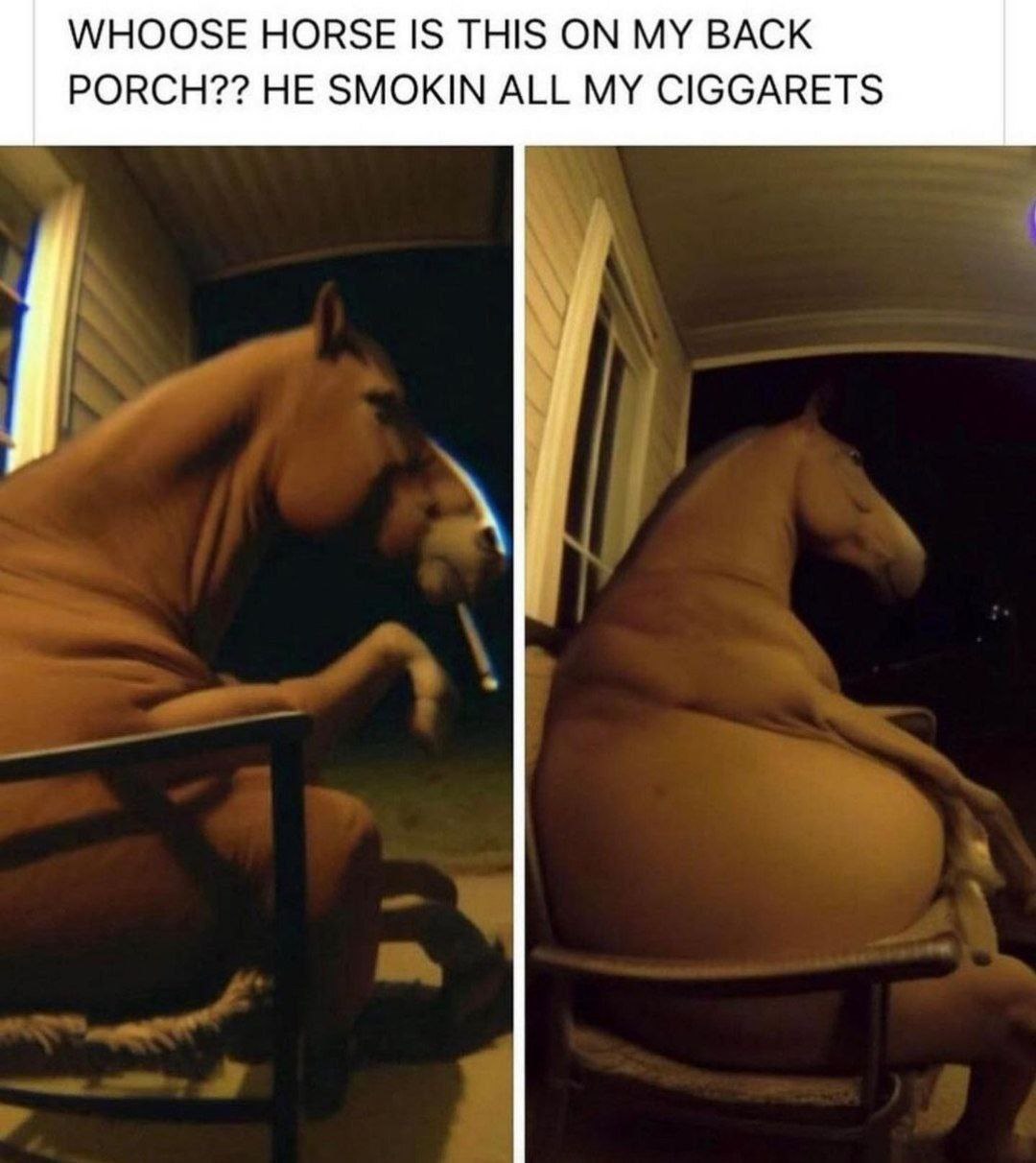 WHOOSE HORSE 1$ THIS ON MY BACK PORCH?? HE SMOKIN ALL MY CIGGARETS