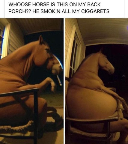 WHOOSE HORSE 1$ THIS ON MY BACK PORCH?? HE SMOKIN ALL MY CIGGARETS