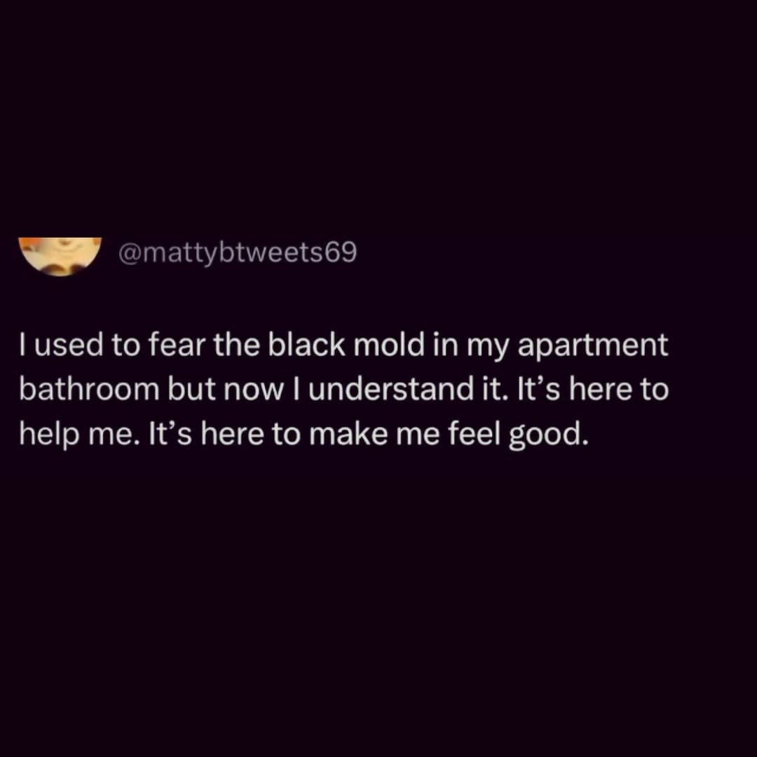 @mattybtweets69 used to fear the black mold in my apartment bathroom but now understand it. It’s here to help me. It’s here to make me feel good.