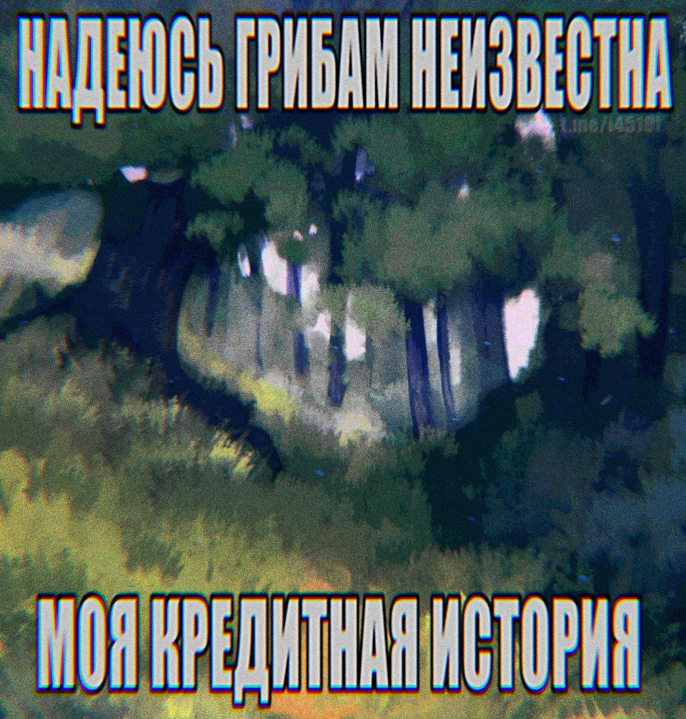 НАДЕЮСЬ ГРИБАИ НЕИЗВЕСТНА НОЯ HCTOPHA