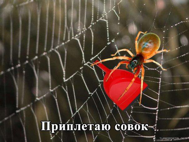 Приплетаю совок