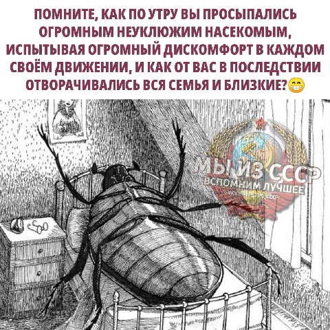 ПОМНИТЕ, КАК ПО УТРУ ВЫ ПРОСЫПАЛИСЬ ОГРОМНЫМ НЕУКЛЮЖИМ НАСЕКОМЫМ, ИСПЫТЫВАЯ ОГРОМНЫИ ДИСКОМФОРТ В КАЖДОМ СВОЕМ ДВИЖЕНИИ, И КАК ОТ ВАС В ПОСЛЕДСТВИИ ОТВОРАЧИВАЛИСЬ ВСЯ СЕМЬЯ И БЛИЗКИЕ? 7 К у 3 i 2