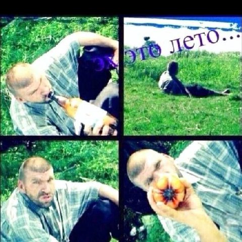 Лето уходит, но его ароматы остаются навсегда в наших сердцах 😌
Запахи перегара🤙