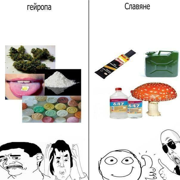 Славяне гейропа 647 $2