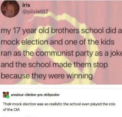 DIU я amateur-climber-pro-shitposter Their mock election was so realistic the school even played the role of the CIA