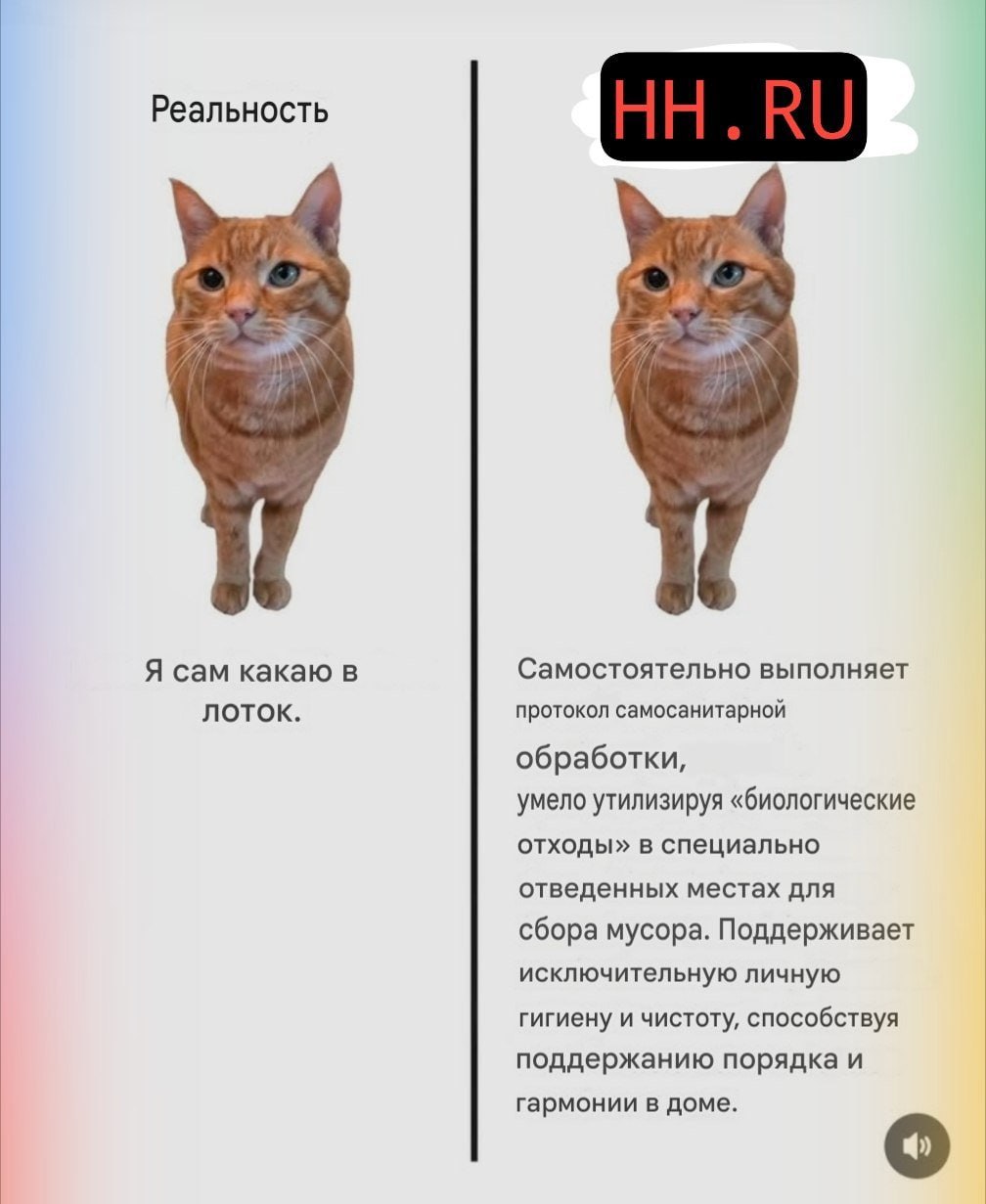 Реальность Я сам какаю в Самостоятельно выполняет лоток. протокол самосанитарной обработки, умело утилизируя «биологические отходы» в специально отведенных местах для сбора мусора. Поддерживает исключ