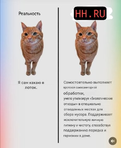 Реальность Я сам какаю в Самостоятельно выполняет лоток. протокол самосанитарной обработки, умело утилизируя «биологические отходы» в специально отведенных местах для сбора мусора. Поддерживает исключ