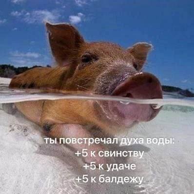 ты повстречал духа воды +5 к свинству +5 к удаче балдежу.