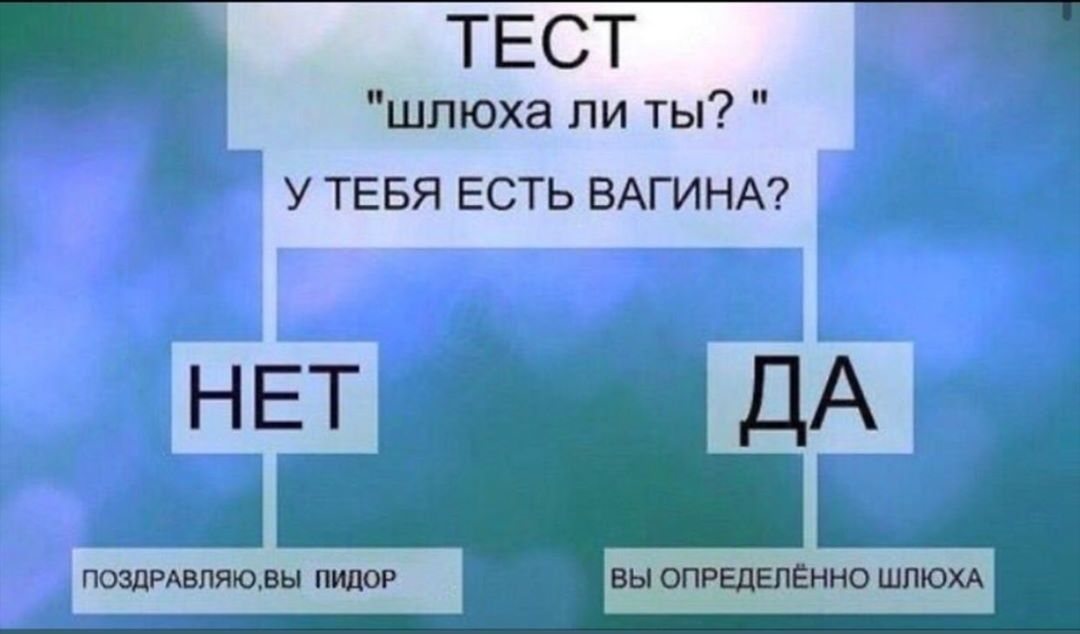 "шлюха ли ты? УТЕБЯ ЕСТЬ ВАГИНА? ПОЗДРАВЛЯЮ,ВЫ ПИДОР ВЫ ОПРЕДЕЛЁННО ШЛЮХА
