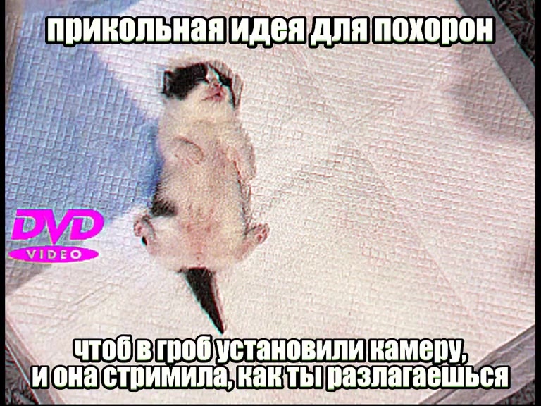’ прикольная идея’для похорон Чтоб втробустановиликамеру > ионастримилалкактьтразлагаешься : ‘иГонастримилакактытразлагаешься > ЕР Pips ’ "ЕЗЕЕЕЕЕ 'иГонастримилакактьтразлагаешься 7 WUTOO|B poo ycTAaH