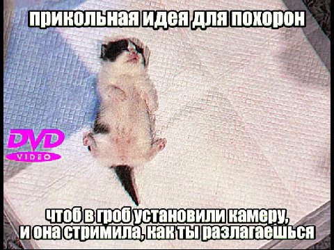 ’ прикольная идея’для похорон Чтоб втробустановиликамеру > ионастримилалкактьтразлагаешься : ‘иГонастримилакактытразлагаешься > ЕР Pips ’ "ЕЗЕЕЕЕЕ 'иГонастримилакактьтразлагаешься 7 WUTOO|B poo ycTAaH