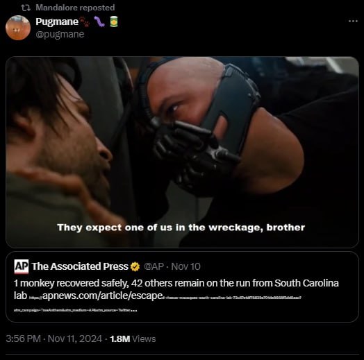 13 Mandalore reposted @pugmane They ‘one of in the wreckage, brother тпе Associated Press Nov 10 1 recovered safely, 42 others remain on the run from South Carolina Tab 3:56 Nov 11, 2024 Views