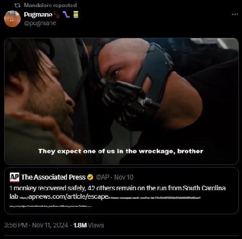 13 Mandalore reposted @pugmane They ‘one of in the wreckage, brother тпе Associated Press Nov 10 1 recovered safely, 42 others remain on the run from South Carolina Tab 3:56 Nov 11, 2024 Views
