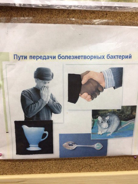 Пути передачи болезнетворных бактерий