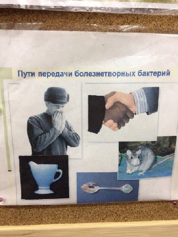 Пути передачи болезнетворных бактерий