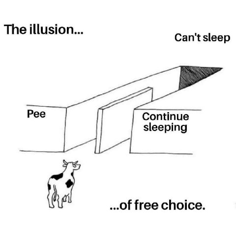 The illusion... Рее Continue sleeping ...Of free choice.
