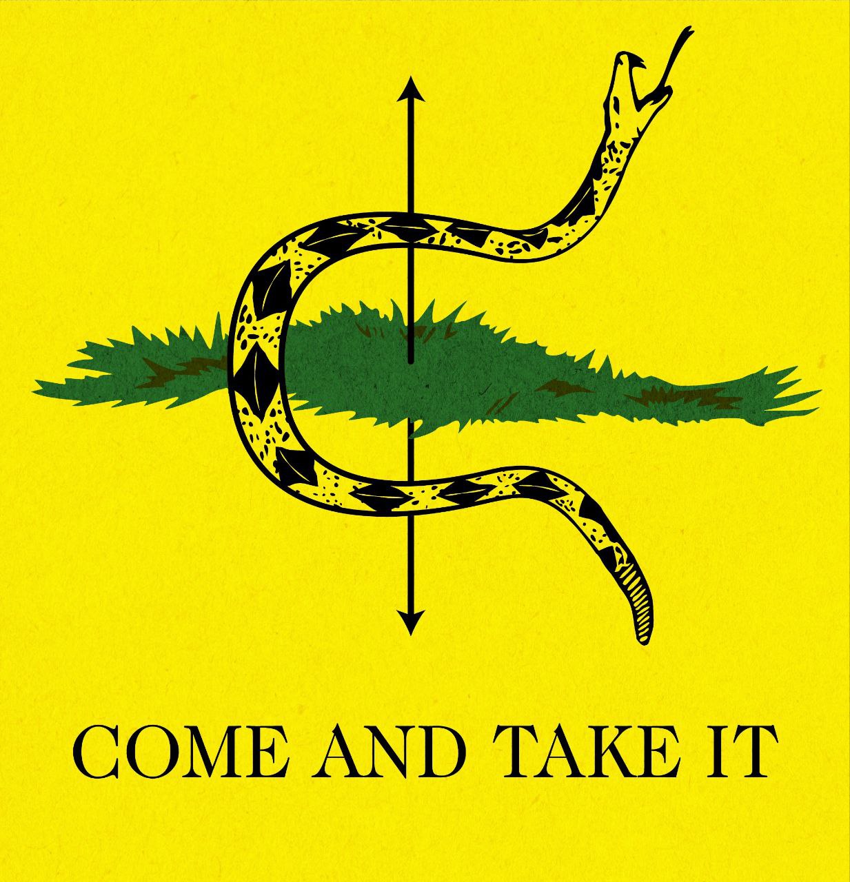 COME AND TAKE IT