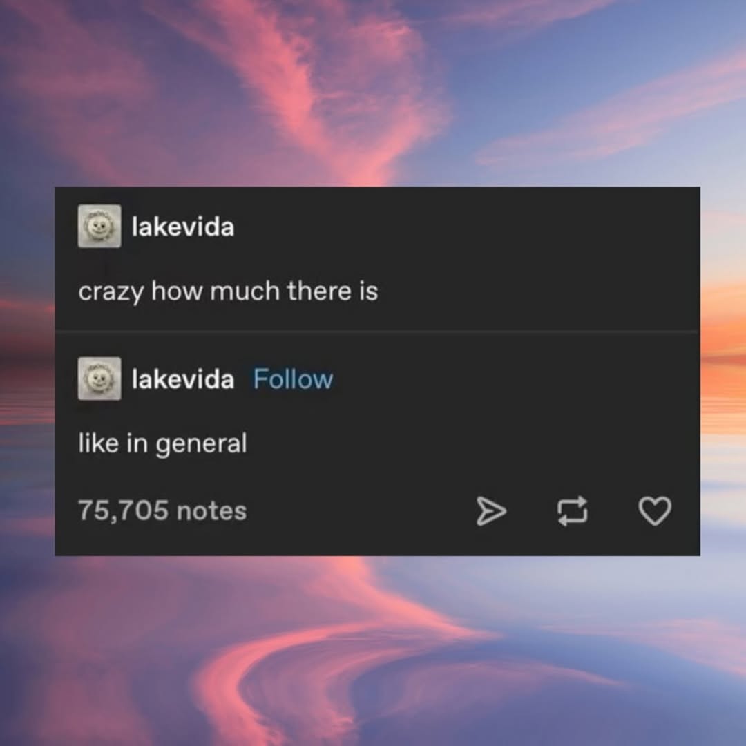 lakevida crazy how much there is lakevida Follow like in general <a 75,705 notes