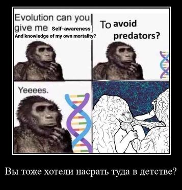 Evolution can you ME Self-awareness То avot And knowledge of my own mortality? red ato я Yeeees. Я Вы тоже хотели насрать туда в детстве?