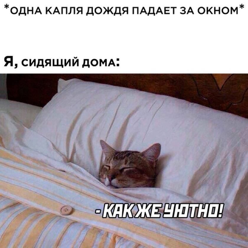 *ОДНА КАПЛЯ ДОЖДЯ ПАДАЕТ ЗА ОКНОМ* Я, СИДЯЩИЙ ДОМА: 77
