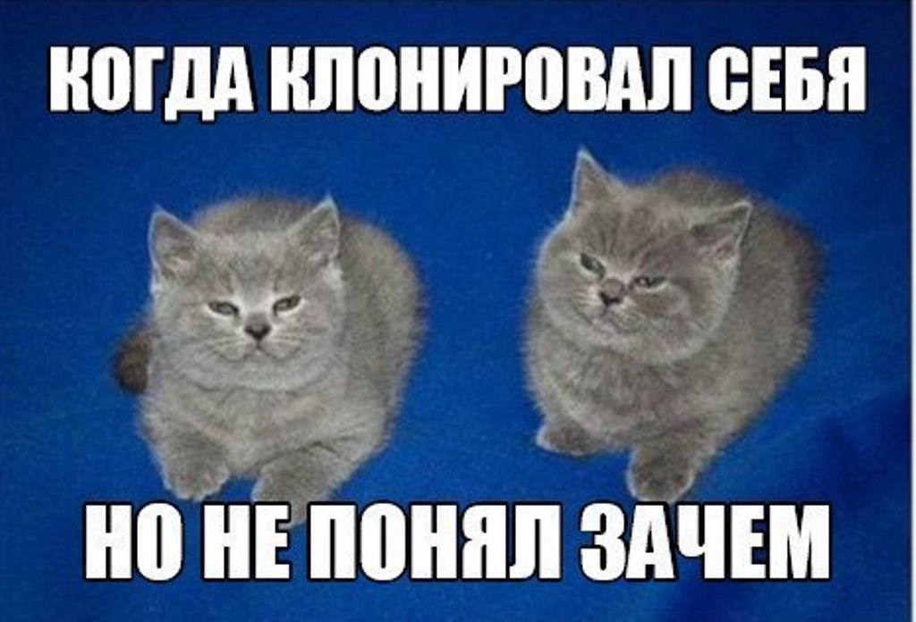 КОГДА ВЛОНИРОВАЛ СЕБЯ НО НЕ ПОНЯЛ ЗАЧЕМ
