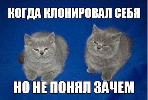КОГДА ВЛОНИРОВАЛ СЕБЯ НО НЕ ПОНЯЛ ЗАЧЕМ